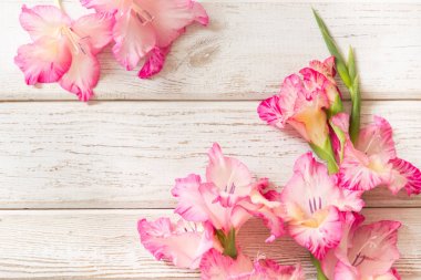 Pembe Glayöl Beyaz ahşap tahta üzerinde. Kopya alanı.