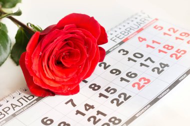 Sevgililer günü kartı. Kırmızı gül takvim tarihi 14 Şubat Sevgililer günü temel yatıyordu. Yakın çekim.