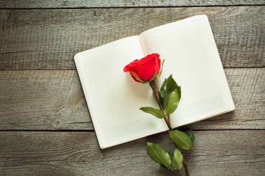 Kırmızı gül ve dizüstü ahşap tahta üzerinde. Yukarıdan görüntülemek.