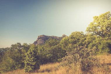 Sıcak yaz aylarında mesafe dağda şaşırtıcı görünümü. Tatil, yaz seyahat. Crimea.