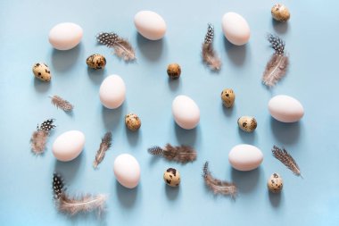 Organik beyaz ve Bıldırcın yumurta mavi tüyleri dekora sahip. Soyut desen.