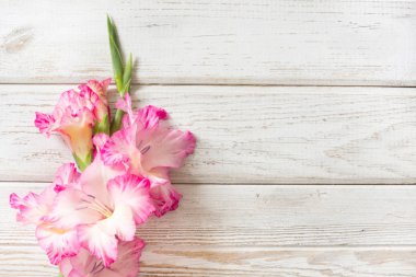 Pembe Glayöl Beyaz ahşap tahta üzerinde. Kopya alanı.