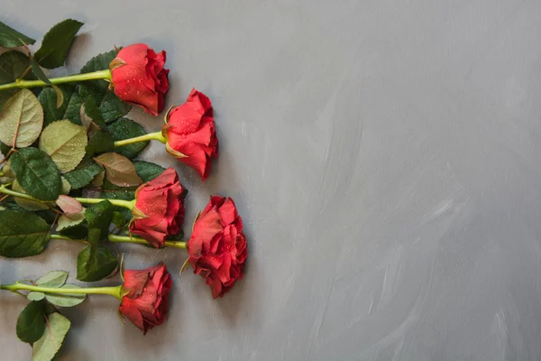 Открытка Валентина. Красные розы на сером фоне. Принято. Вид сверху . — стоковое фото