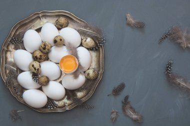 Tavuk beyaz ve Gri nötr arka vintage tabakta Yumurta bıldırcın. Üstten Görünüm.