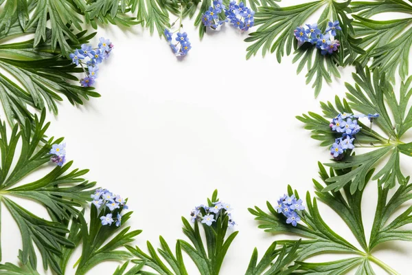 Yeşil yaprakları ve beyaz zemin üzerine mavi çiçekler. Üstten Görünüm kopya alanı ile. İzole.