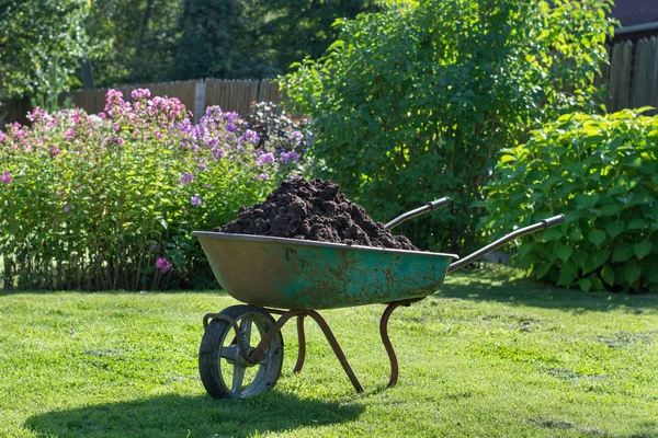 Carriola piena di compost sul prato verde in giardino . — Foto Stock