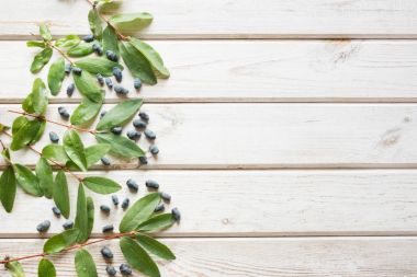 Hanımeli ahşap arka plan üzerinde olgunlaşmış meyveler. Yaz hasat.