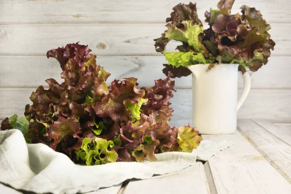 Friss lila saláta saláta fehér rusztikus, fából készült háttér. Közelről. — Stock Fotó
