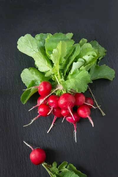 Rábano rojo orgánico maduro con follaje en un plato de pizarra como fondo. Vista superior . — Foto de Stock