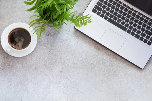 사무실 노트북, 컵 커피와 식물의 직장. 복사 공간 평면도. — 스톡 사진