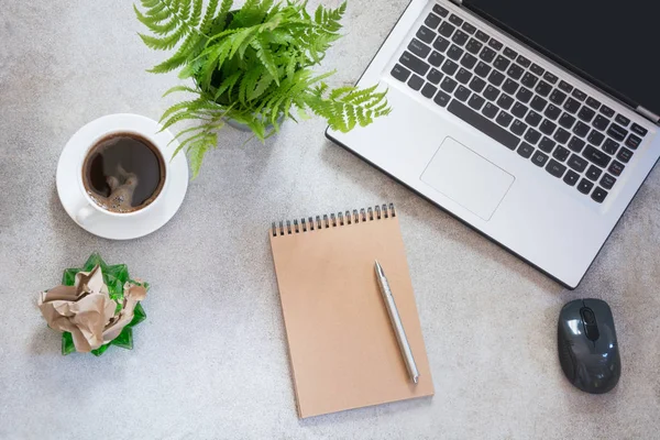 사무실 노트북, 컵 커피, 스케치도 서 및 식물의 직장. 복사 공간 평면도. — 스톡 사진