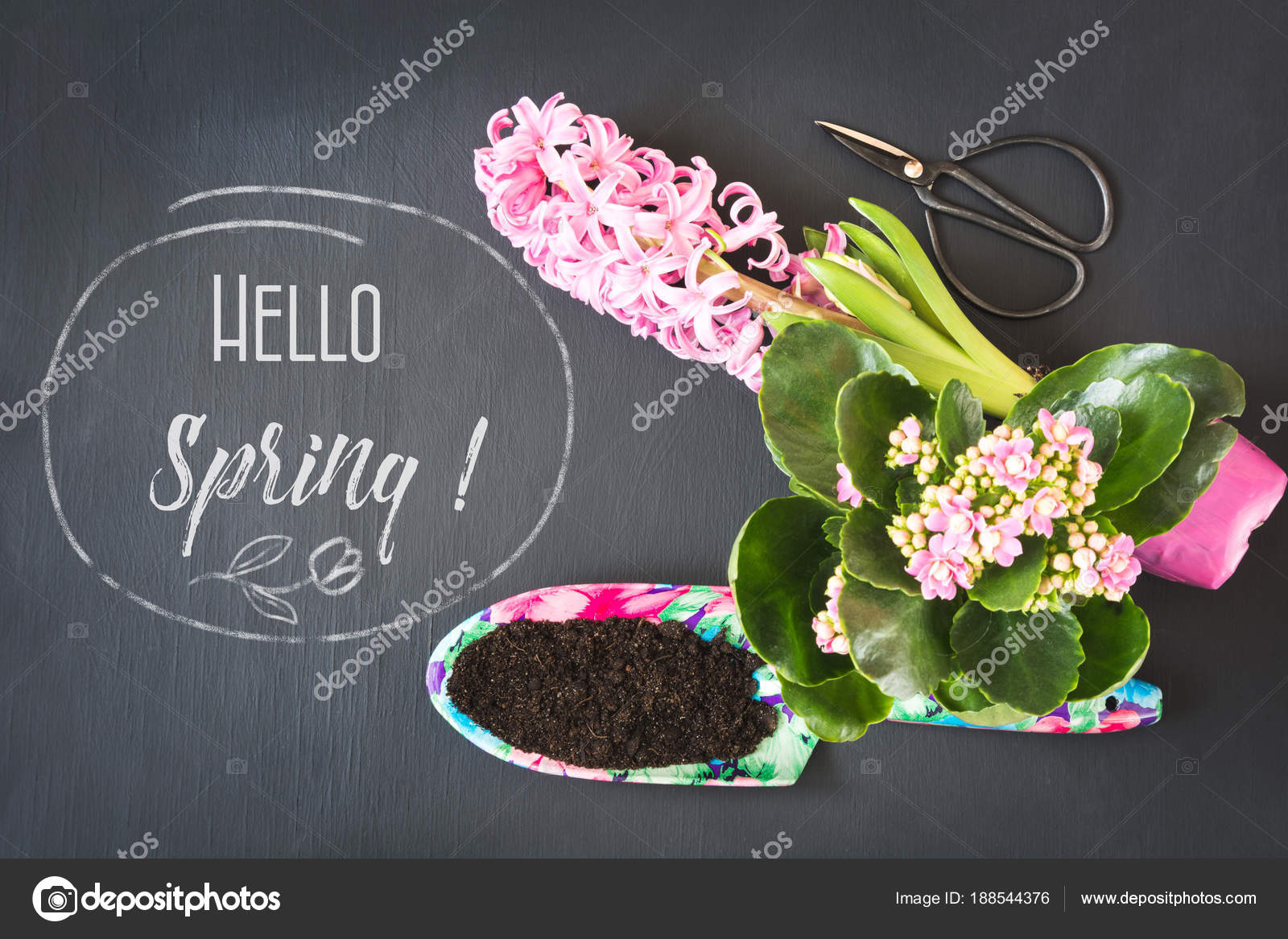 Concetto Di Primavera Di Giardinaggio Con Rosa Kalanchoe E