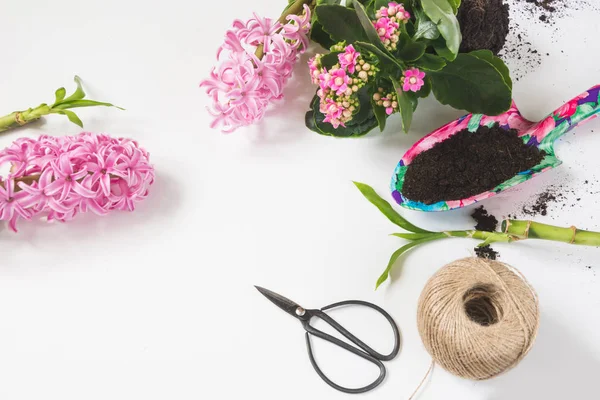 Primavera concetto di giardinaggio con kalanchoe rosa, giacinti e strumenti su bianco . — Foto Stock