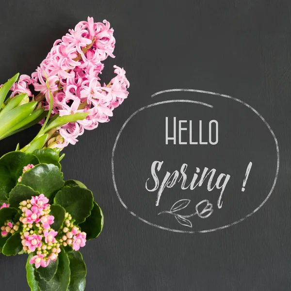 Conceito de primavera de jardinagem com kalanchoe rosa, jacinto e ferramentas em placa preta. Vista superior . — Fotografia de Stock
