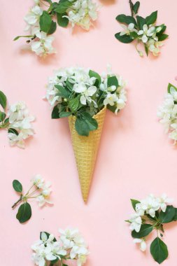 Yaratıcı natürmort gözleme koni pembe bir arka plan üzerinde beyaz bahar çiçek. Bahar kavramı. Üstten Görünüm.