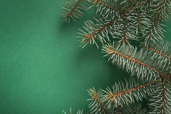 Weihnachtsbaumzweige auf grünem Grund mit Kopierfläche. Ansicht von oben. Urlaubskarte. — Stockfoto