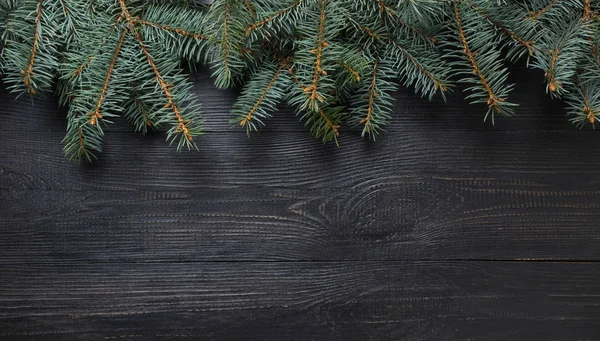 Moldura de Natal de branche de abeto em tábua de madeira escura. Vista superior . — Fotografia de Stock