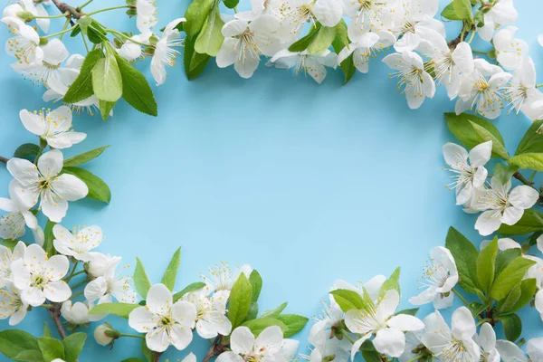 Ramas de flor blanca de primavera como borde en azul. Patrón floral. Espacio para el texto. Vista desde arriba, plano . — Foto de Stock