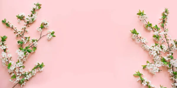 Ramas de flores blancas de primavera en rosa. Patrón floral. Espacio para el texto. Banner o plantilla. Vista desde arriba, plano . — Foto de Stock