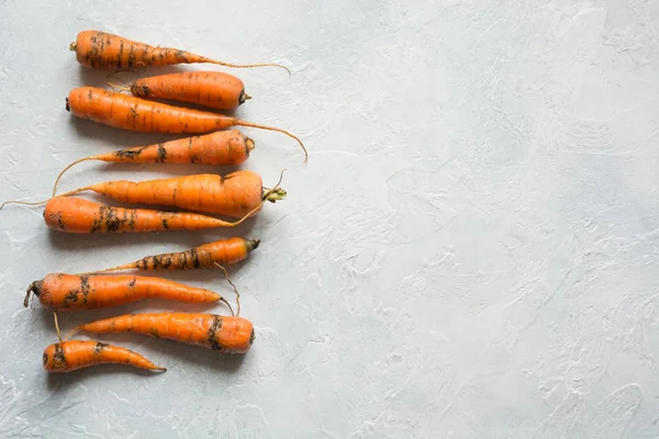 Zanahoria orgánica fea consumida por plagas, malcriada, mal cultivada. S — Foto de Stock