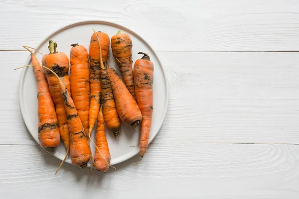 Zanahoria orgánica fea consumida por plagas, malcriada, mal cultivada. Espacio para el texto. Concepto verduras naturales . — Foto de Stock