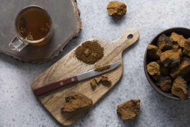 Chaga mantarı dilimleme ve sağlıklı içecek hazırlığı. Modaya uygun Rus sağlıklı huş mantarları. Yukarıdan bak. Düz yatıyordu.