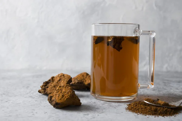 Organikus Chaga Tea Csészében Trendi Orosz Egészséges Infúzió Nyírgomba Könnyű — Stock Fotó