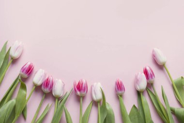 Paskalya çiçekleri çerçevesinde pembe laleler. Kopyalama alanı olan üst görünüm. Mutlu Paskalyalar. Tebrik kartı.