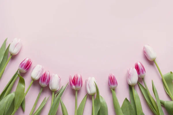 Marco Flores Pascua Tulipanes Rosados Rosa Pastel Vista Superior Con — Foto de Stock