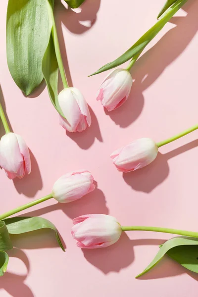Patrón Floral Creativo Tulipanes Rosados Con Sombra Soleada Sobre Rosa — Foto de Stock