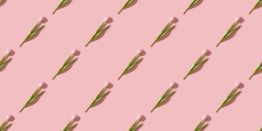 Bahar yaratıcı çiçek desenli pembe lalelerin pastel pembenin üzerindeki gölgeleri. Üst Manzara. Mutlu Paskalyalar. Tebrik kartı.