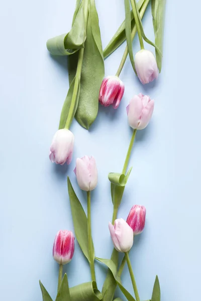 Rózsaszín tulipán csokor napfényes árnyalattal a pasztell rózsaszínen. Első látásra. Üdvözlőlap anyák napjára vagy romantikus évfordulóra. Függőleges formátum. — Stock Fotó