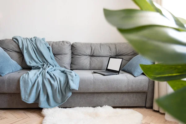 Oturma odası. Dizüstü bilgisayar koltukta. İskandinav İç mimarisi. Evde kal. Kendini soyutlama. Samimi konsept.