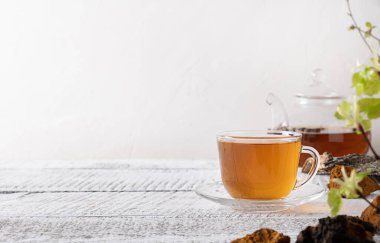 Chaga mantarları cam bardağa doluyor. Moda, sağlıklı içecek. Kapat..