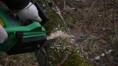 - Rusya. Moscow- Nisan 2020. Eldivenli adam elektrikli testereyle ağaçları kesiyor. Oduncu testereyle odun kesiyor. Kapat..