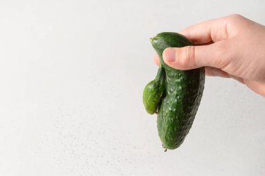 Çocuk elinde çirkin bir salatalık. Organik sebzeler. Organik sebzeler. Kapatın. Metin için boşluk.