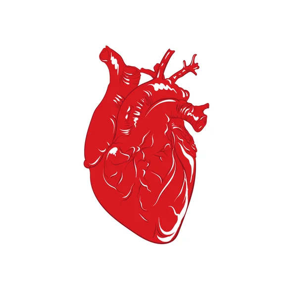 Illustrazione vettoriale del cuore in stile disegnato a mano del fumetto — Vettoriale Stock