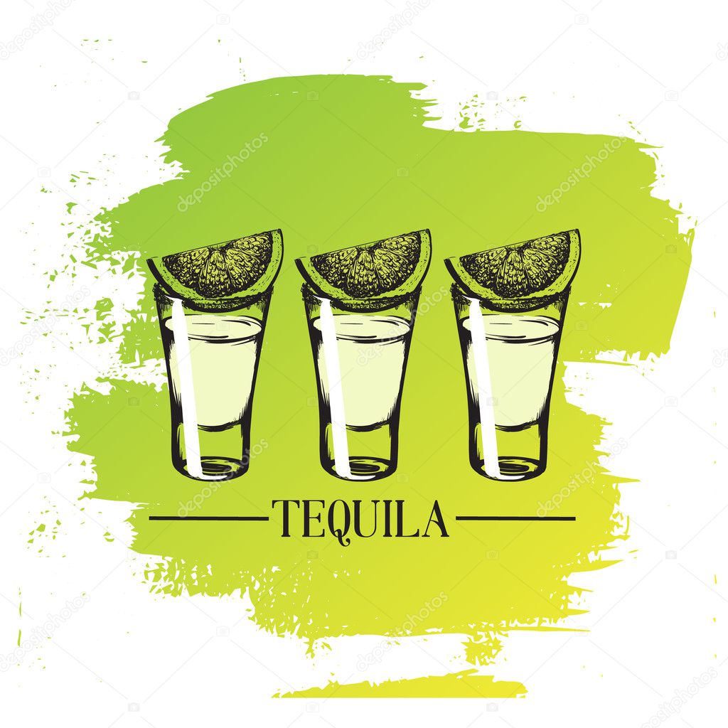 Illustration of tequila glass in hand drawn style. Stock Vector by