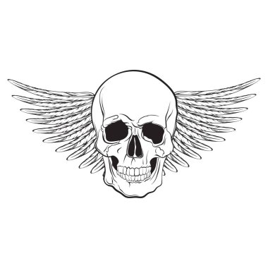 Vektör çizim gerçekçi insan eli skul kanatlı çizilmiş.