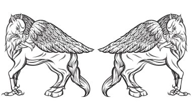 Vektör el hipogriff gerçekçi çizimi çizgi stili içinde çekilmiş.. 