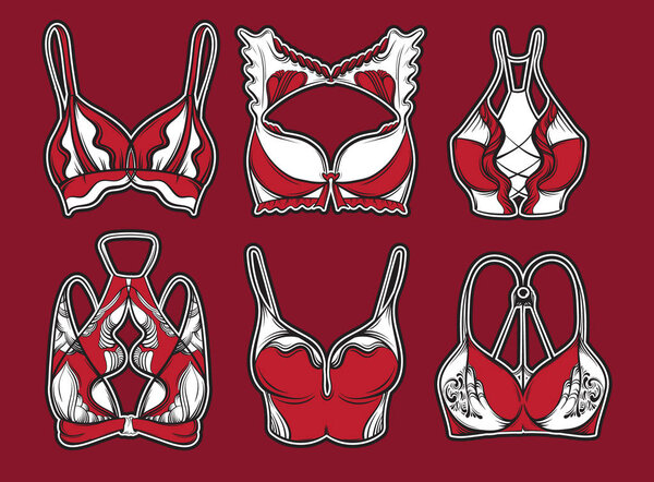 Vector illustration of beautiful collection of bra