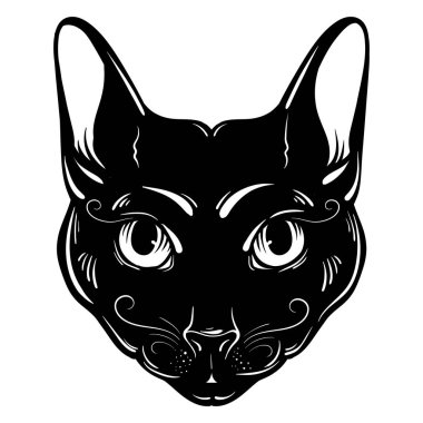 Vektör el kedi çizilmiş halat. 