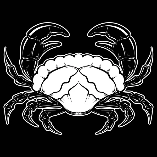 Illustration vectorielle dessinée à la main du crabe dans un style réaliste isolé . — Image vectorielle