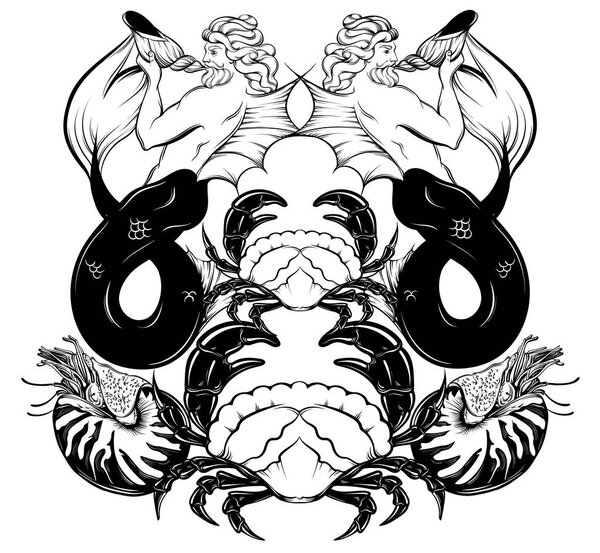 Векторная ручная иллюстрация тритона, моллюска Nautilus, краба в реалистичном стиле линии
.