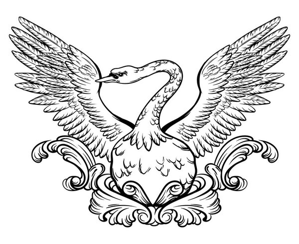 Vector hand drawn illustration