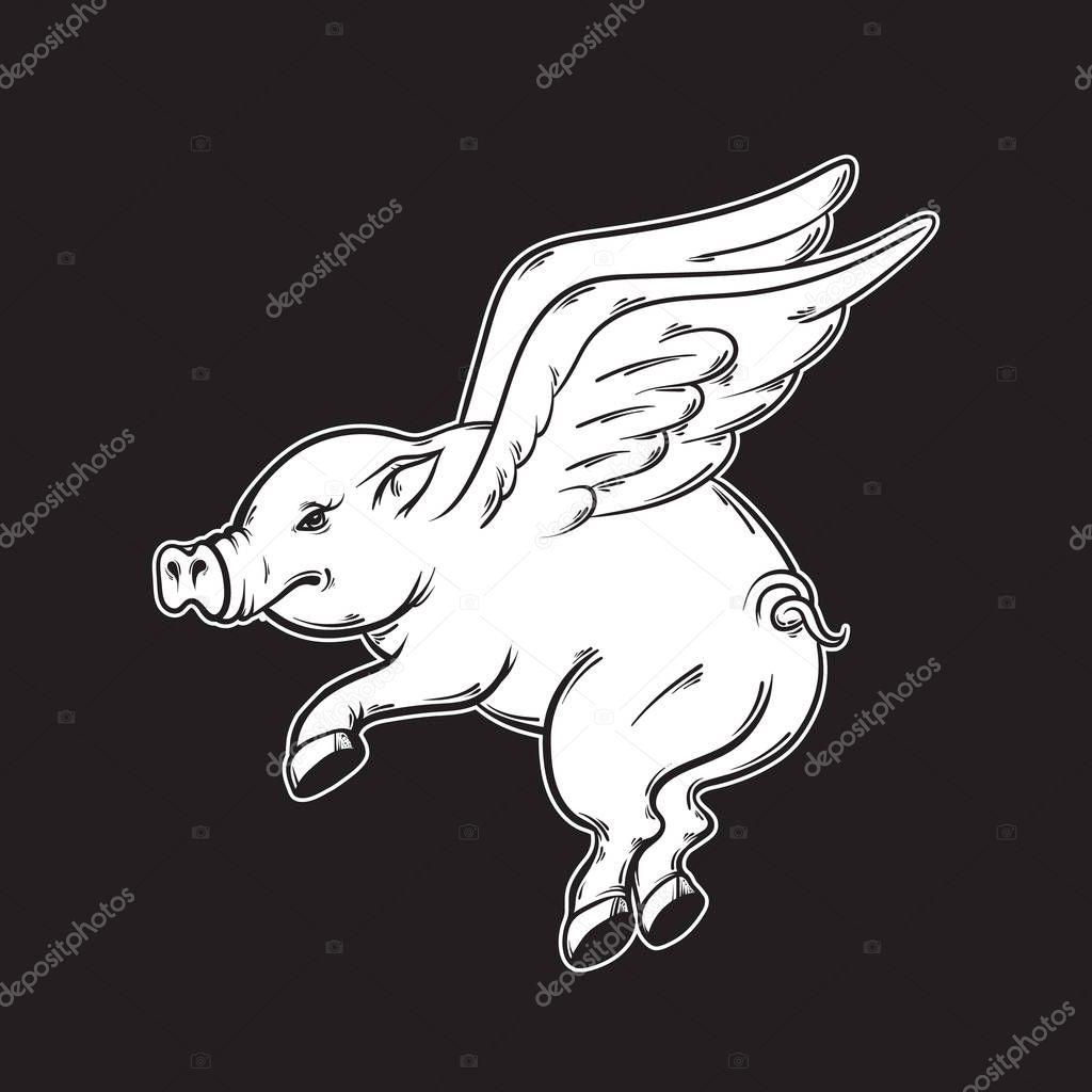 Vector hand drawn illustration of flying pig. 