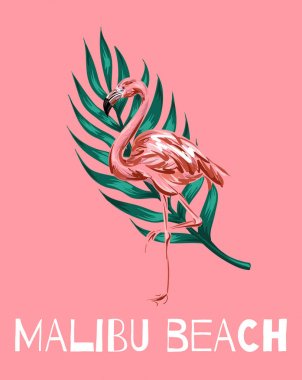 Malibu beach. Vektör kaplatırdım palm izni ile elle çizilmiş çizim ile renkli poster. Şablon kartı, afiş, banner, Yazdır t-shirt, PIN, rozet ve yama için. 