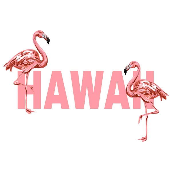 Hawaii Vector Colorful Poster Hand Drawn Illustration Flamingo Isolated Template — Stock Vector