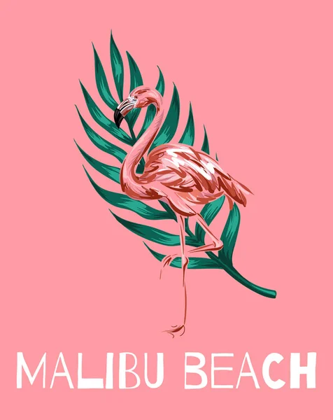 Malibu Strand Vektor Buntes Poster Mit Handgezeichneten Illustrationen Von Flamingo — Stockvektor