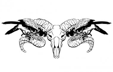 Vektör elle çizilmiş illüstrasyon izole Şahin ve ram kafatası. Gerçeküstü dövme resim kartı, poster, afiş, t-shirt için yazdırma için şablonu tasarlamak. 